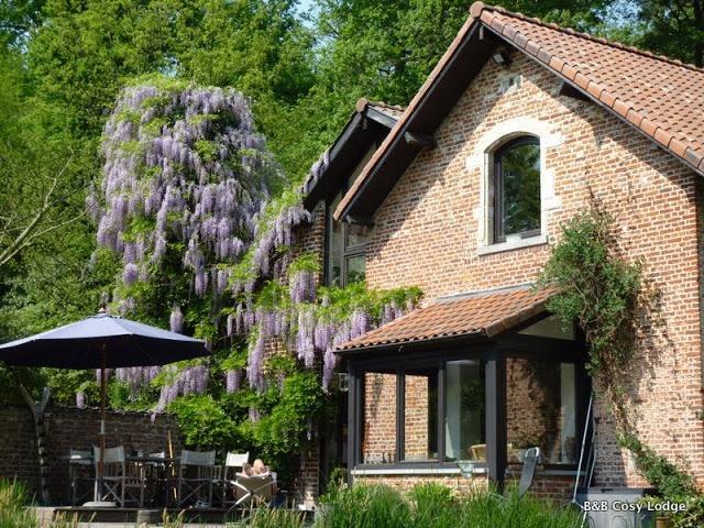 Cosy Lodge Dilbeek Ngoại thất bức ảnh